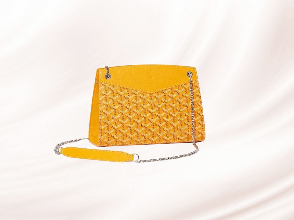 The Routte structure PM bag (Image via Goyard)