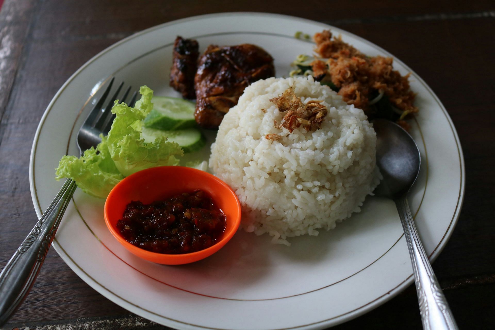 Eat small portions when you are on the rice diet plan. (Image by Mufid Majnun/Unsplash)