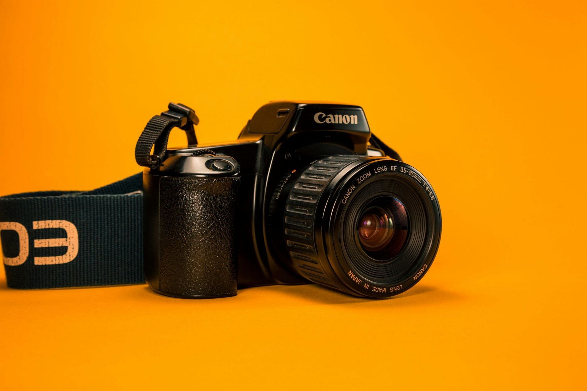 5 best digital cameras for beginners (Image via Unsplash/@pl_gt)