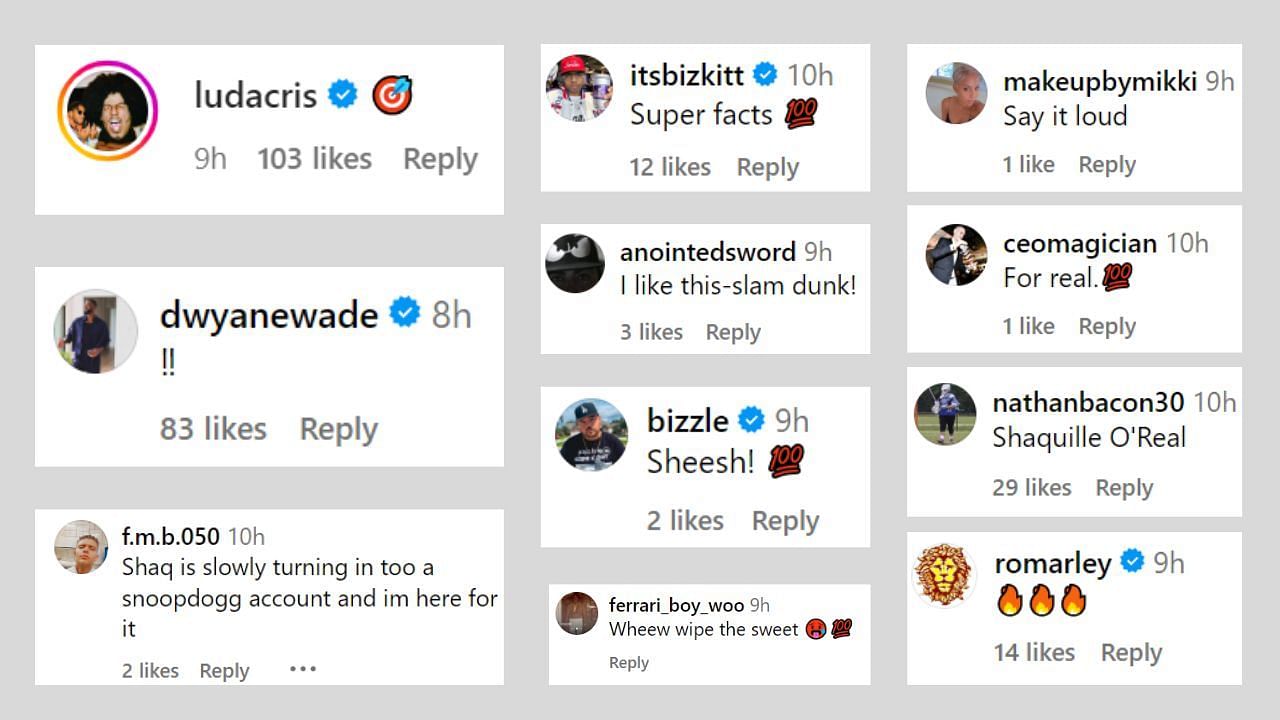 Comments by fans, Dwyane Wade and Ludacris on Shaq&#039;s post