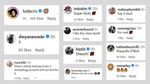 Comments by fans, Dwyane Wade and Ludacris on Shaq's post