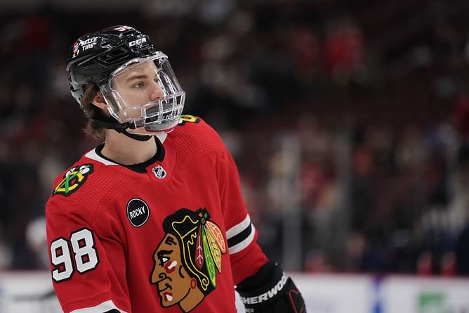Brenden Dillon's hit on Connor Bedard prompts strong response from ex-NHL coach over targeting star players