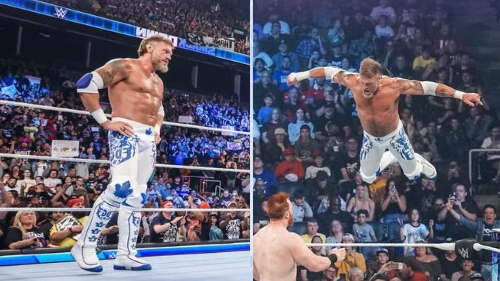 Edge had a great career in WWE.