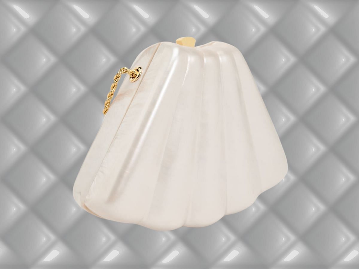 The Shellbox clutch (Image via Zara)