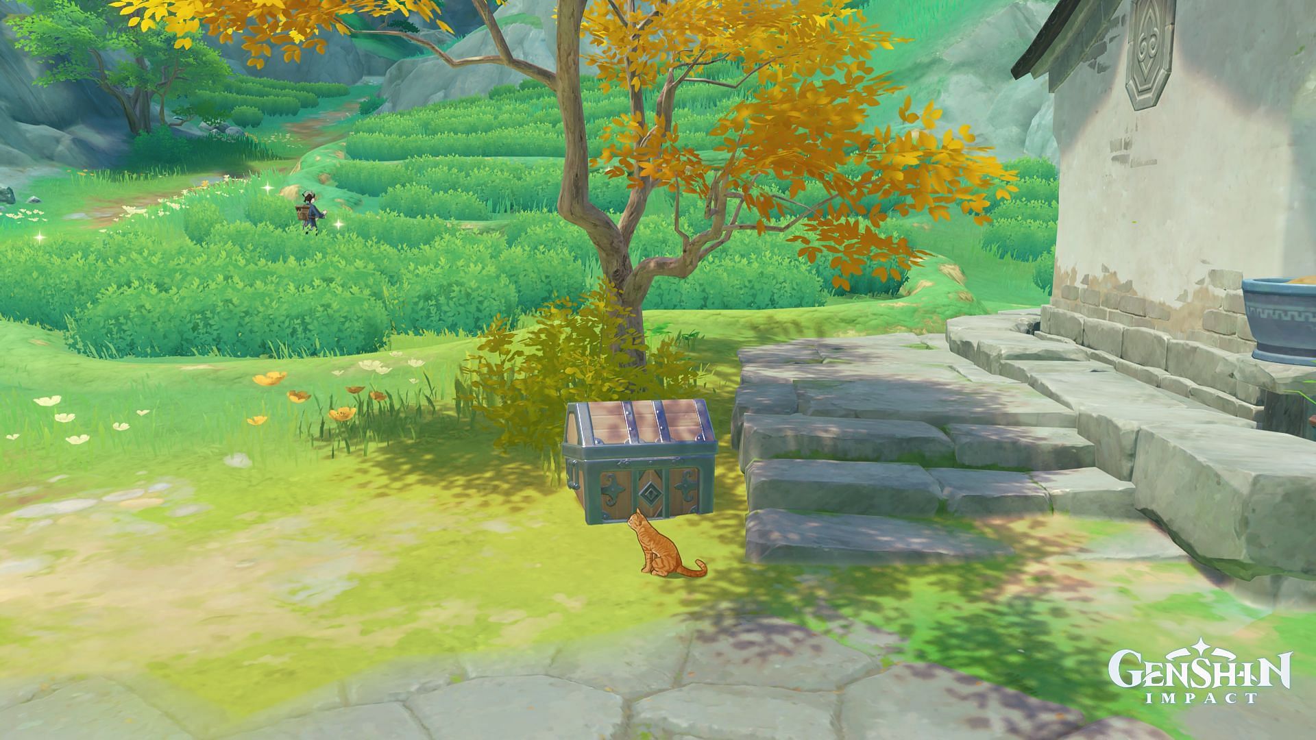 Secret chests in Chenyu Vale (Image via HoYoverse)