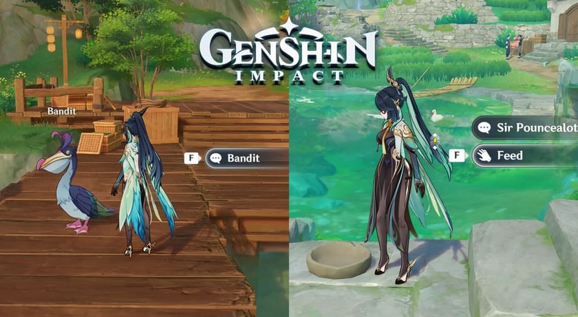 Fish Seized From a Pelican's Mouth: Genshin Impact hidden puzzle guide