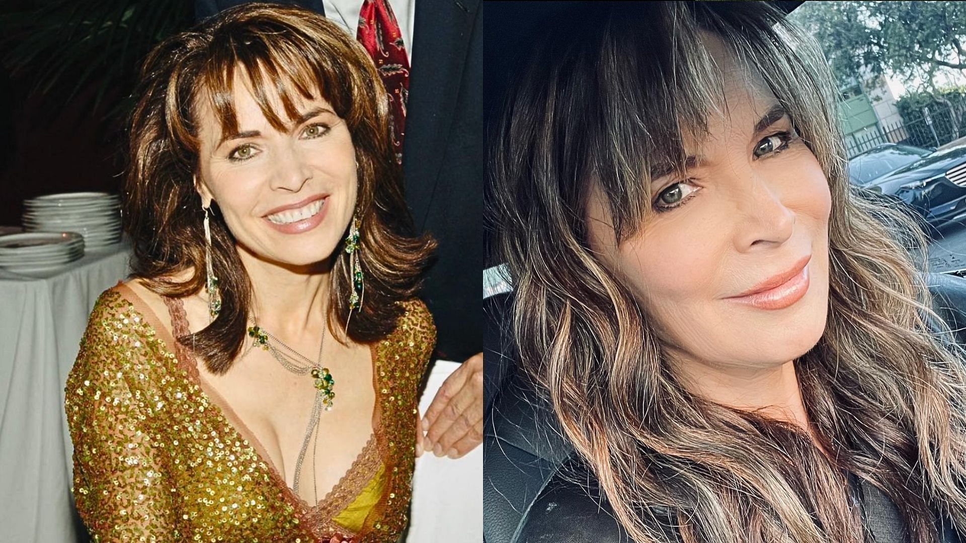 Lauren Koslow has played Kate Roberts on Days of Our Lives since 1996 (Images via Instagram/@laurenkoslow)