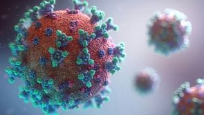 C. auris cases detected at Kindred Hospital, Seattle marks first outbreak
