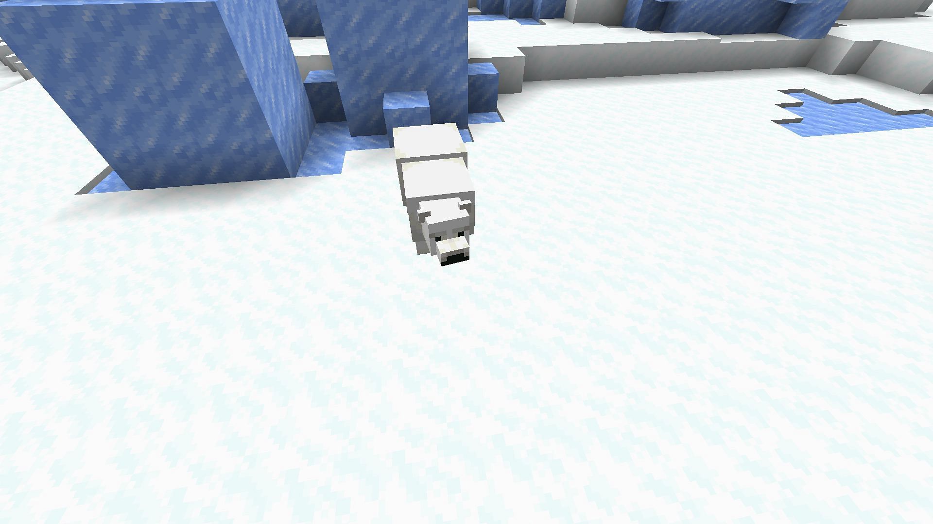 The update&#039;s dangerous polar bear (Image via Mojang)