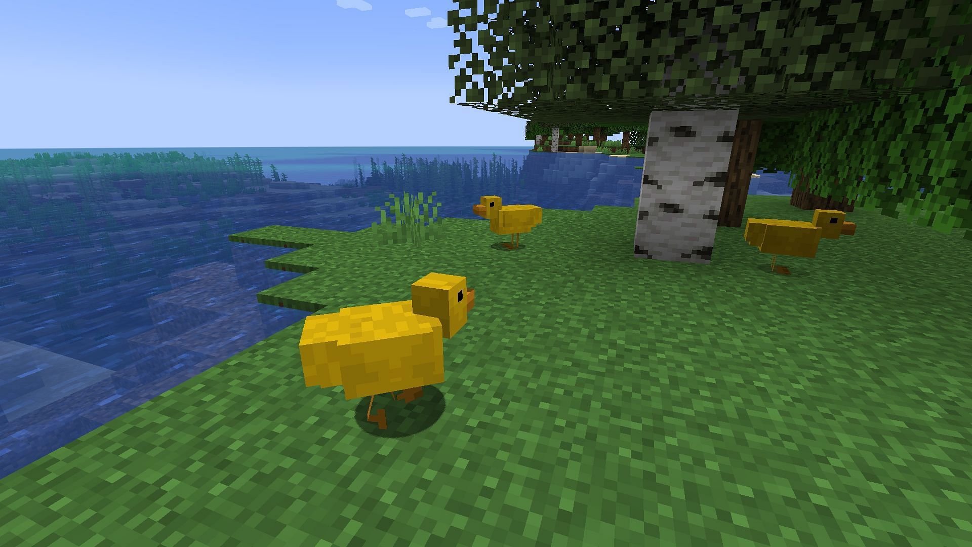 Chickens turned to ducks. (Image via Mojang)