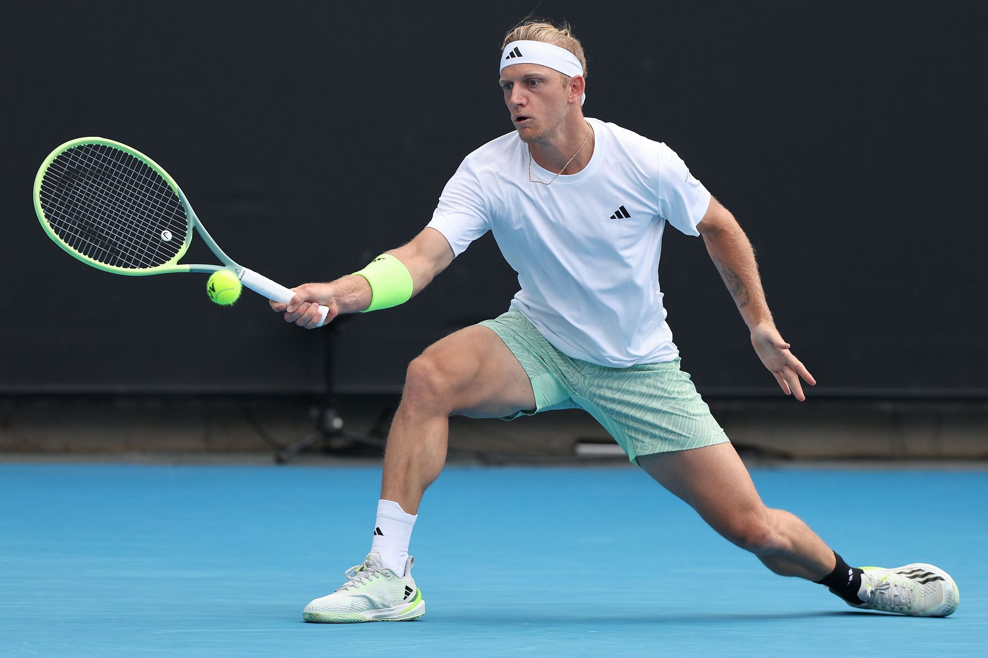 Alejandro Davidovich Fokina at the 2024 Australian Open