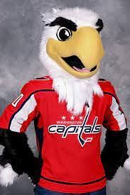 What is the Washington Capitals mascot Slapshot salary?