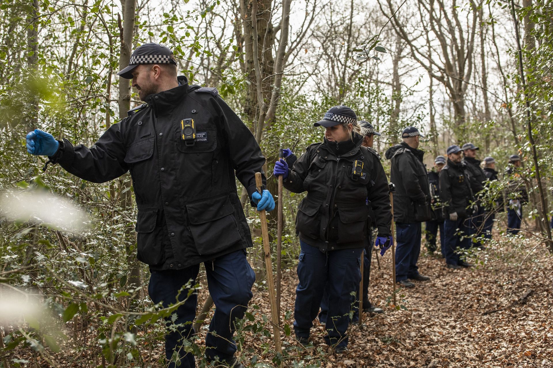 A representative image of Woodland, from where Emma&#039;s body was recovered (Image via Getty)
