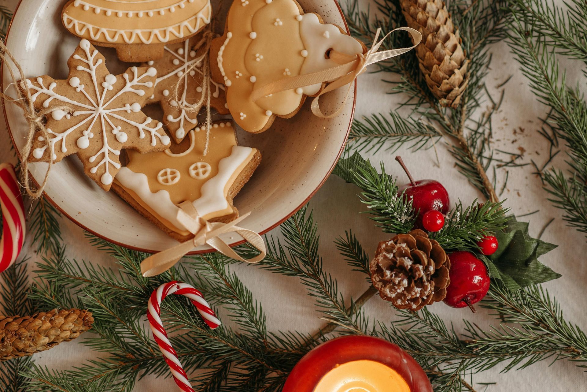 Importance of Girl Scout Cookies (image sourced via Pexels / Photo by pavel)