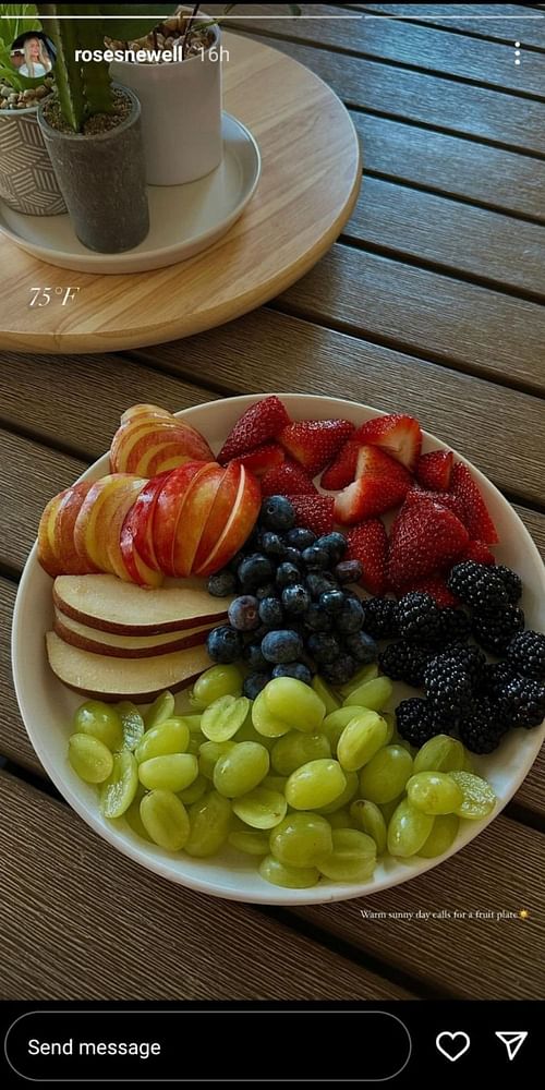 The fruit plate for a sunny day.