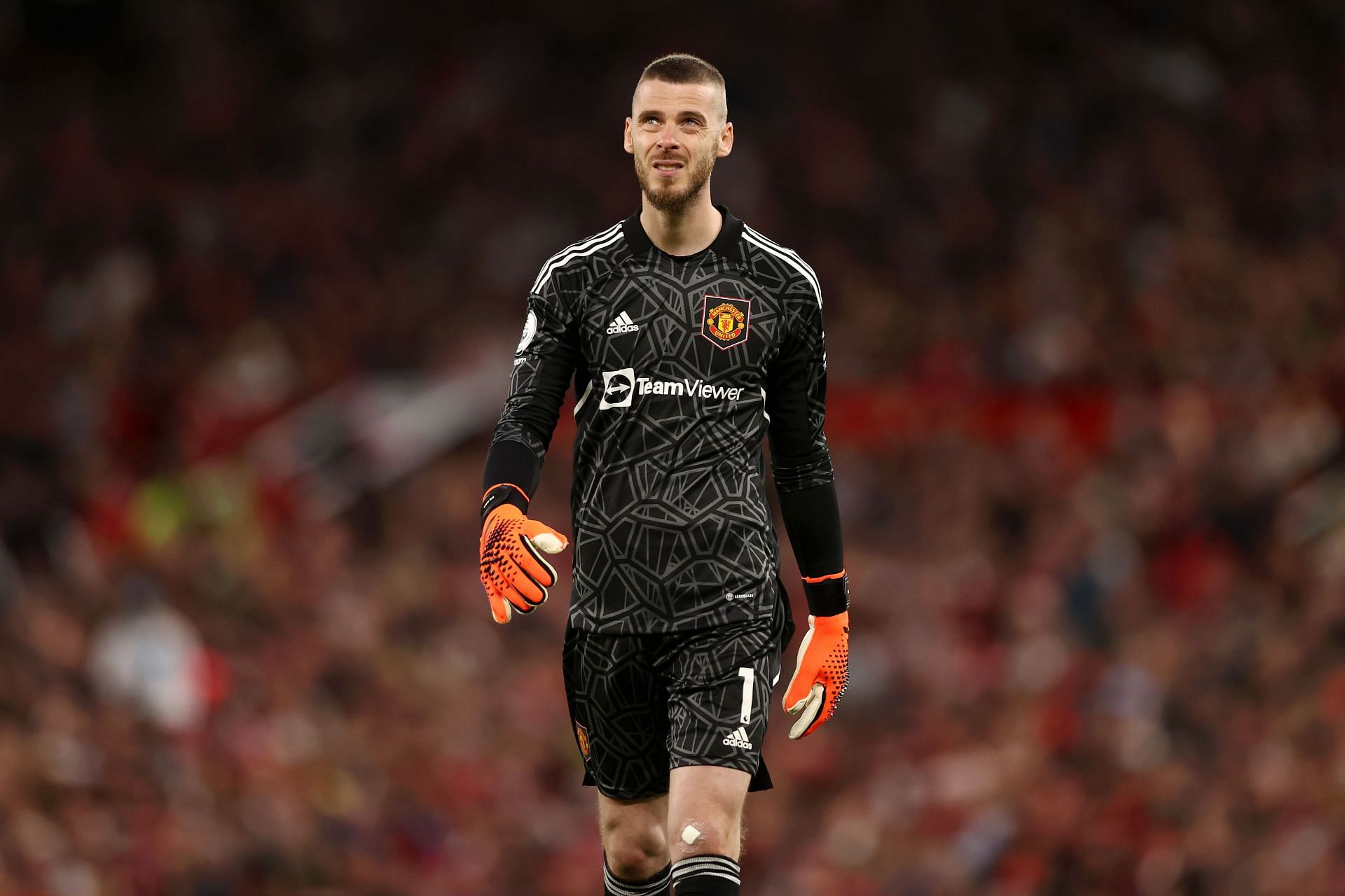 David de Gea is without a club right now.