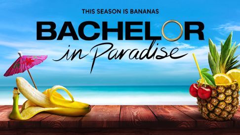 How many seasons are there in &quot;Bachelor in Paradise&quot;?