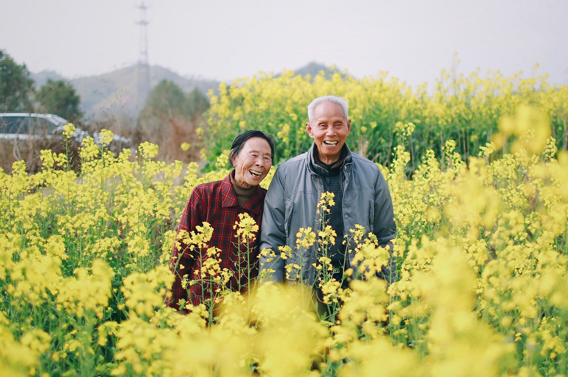 Daily dose of multivitamins can help older adults with memory recall (Image via Unsplash/ Jaddy Liu)