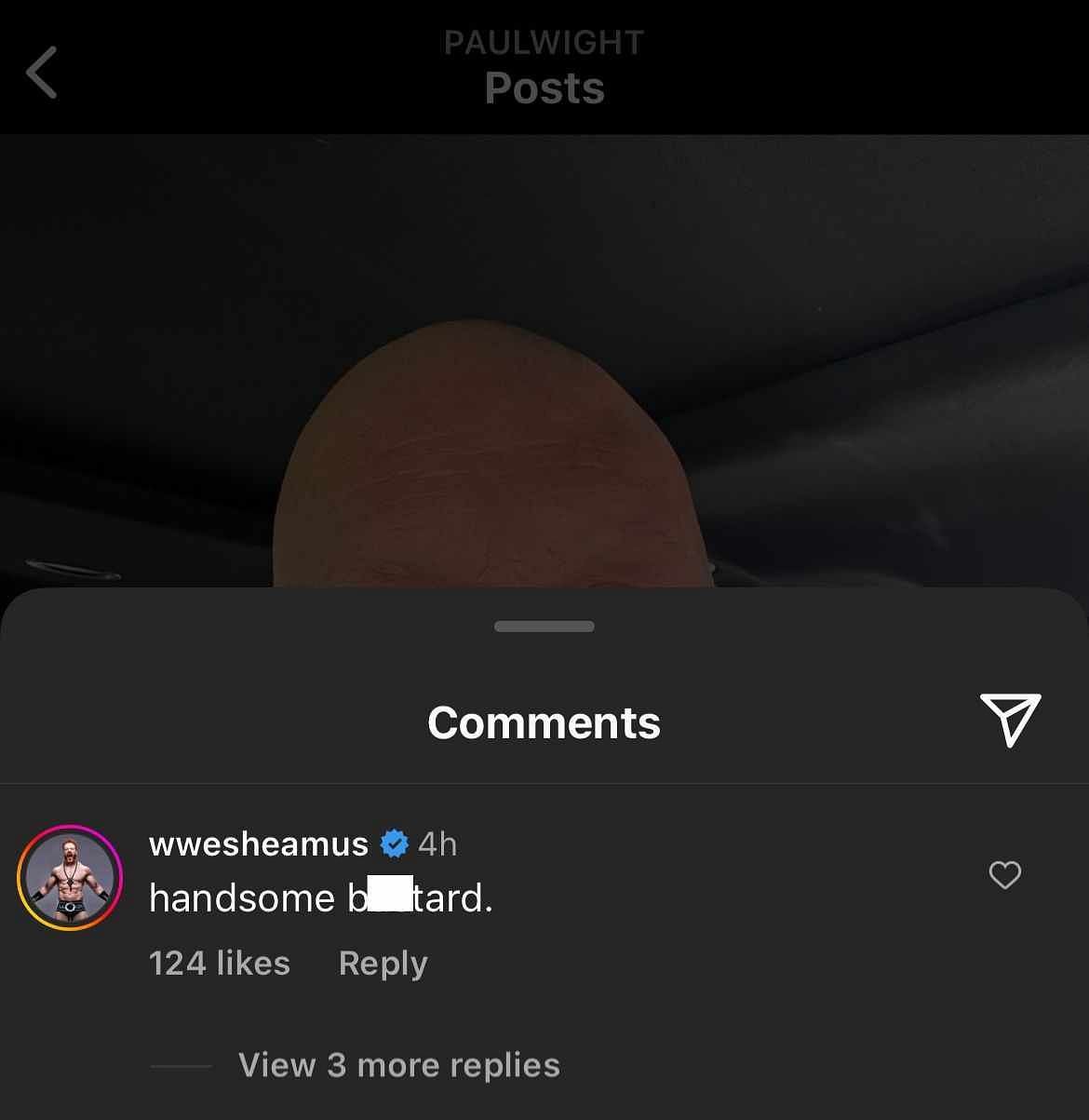 Screengrab of Sheamus&#039; comment to Paul Wight