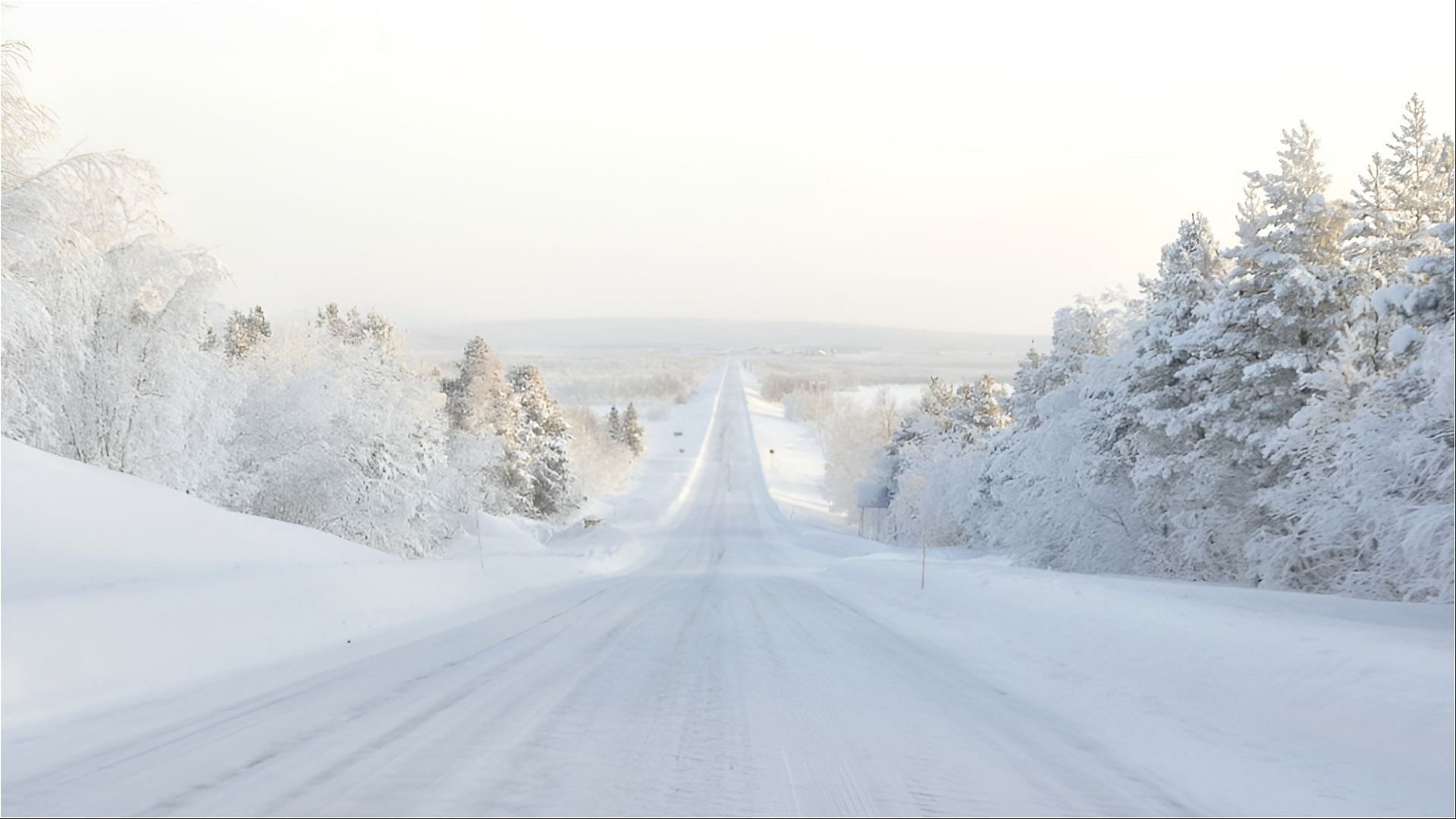 A cellist accepted the blame of hitting a woman with his car on a road covered with ice (Representative image via Unsplash)