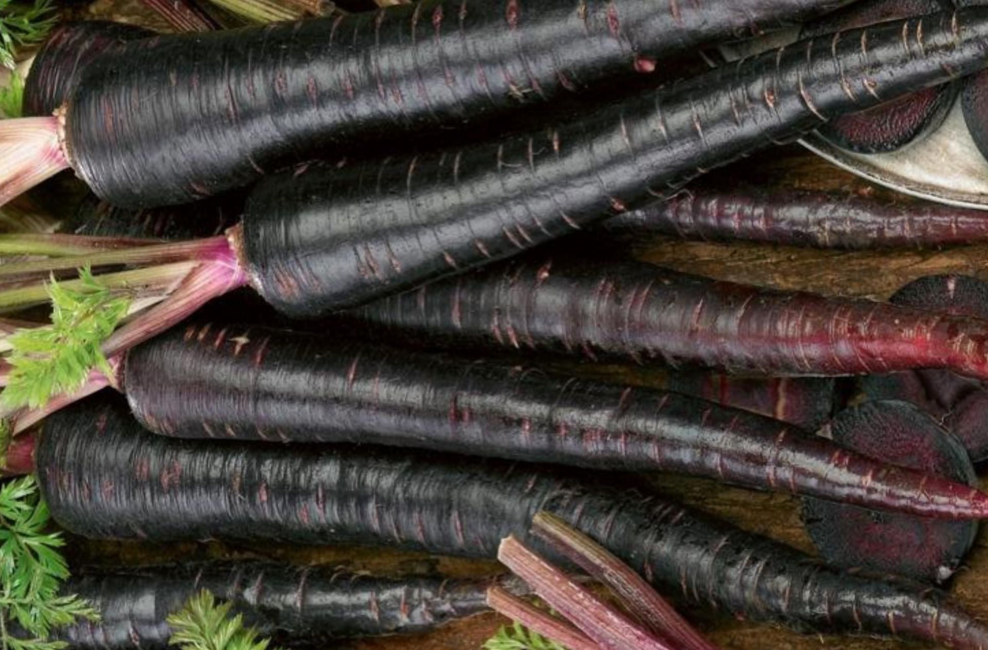 Black Carrot (Image via IndiaMart)