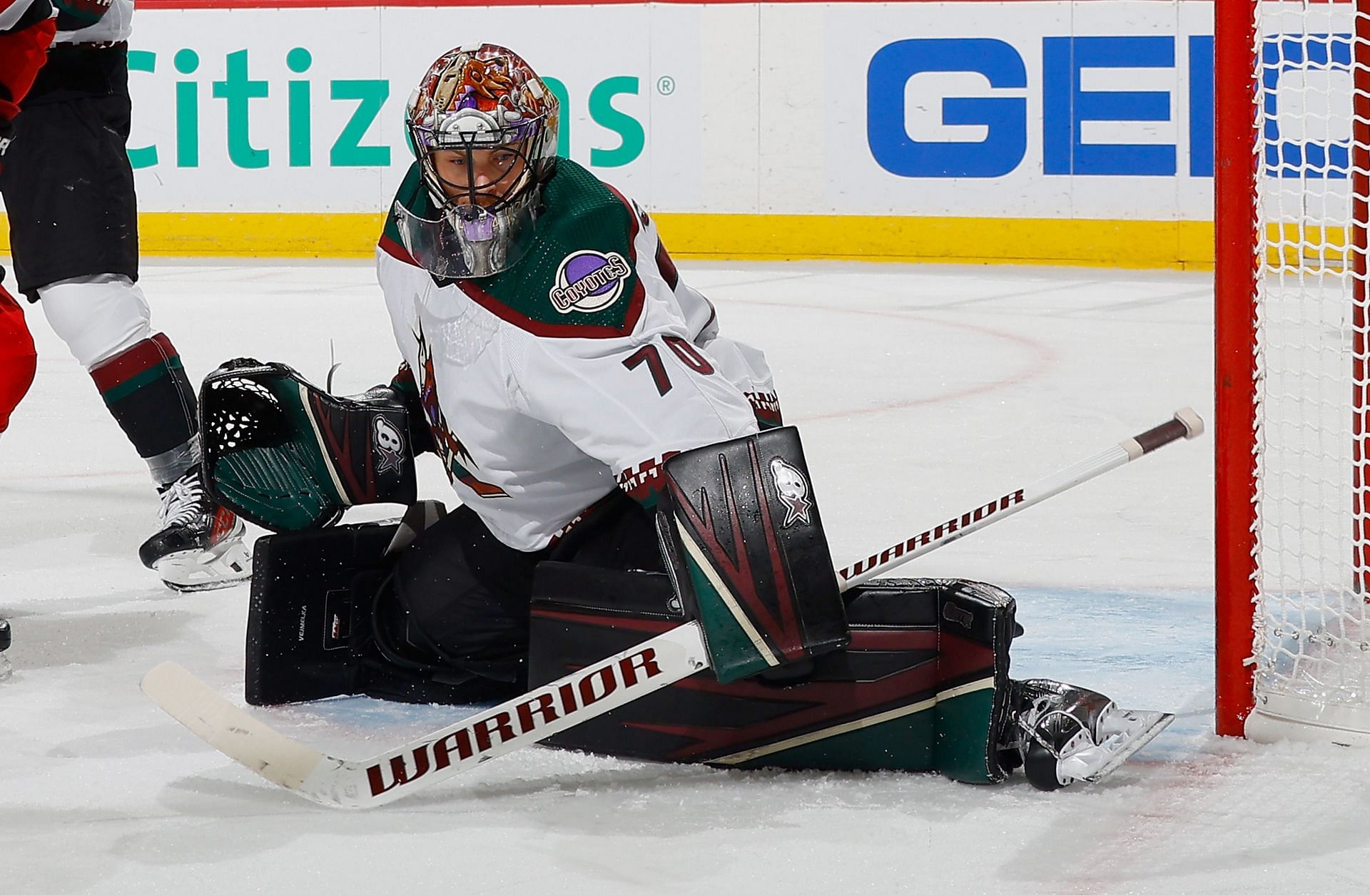 Karel Vejmelka, Arizona Coyotes