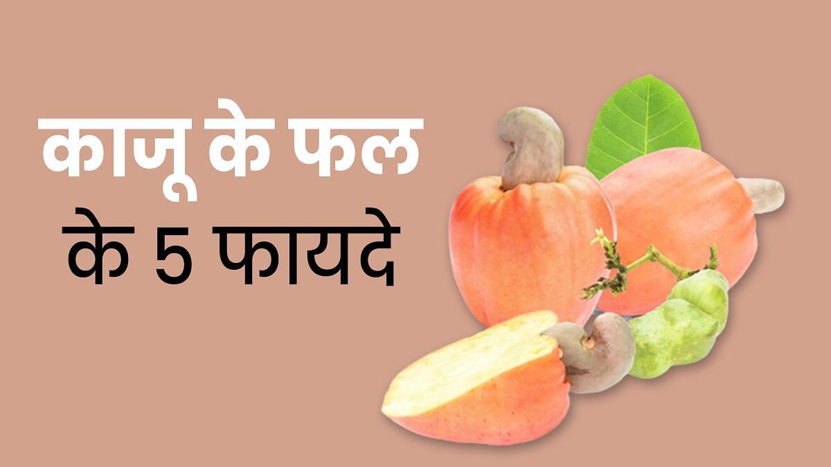काजू का फल खाने के फायदे (sportskeeda Hindi) 