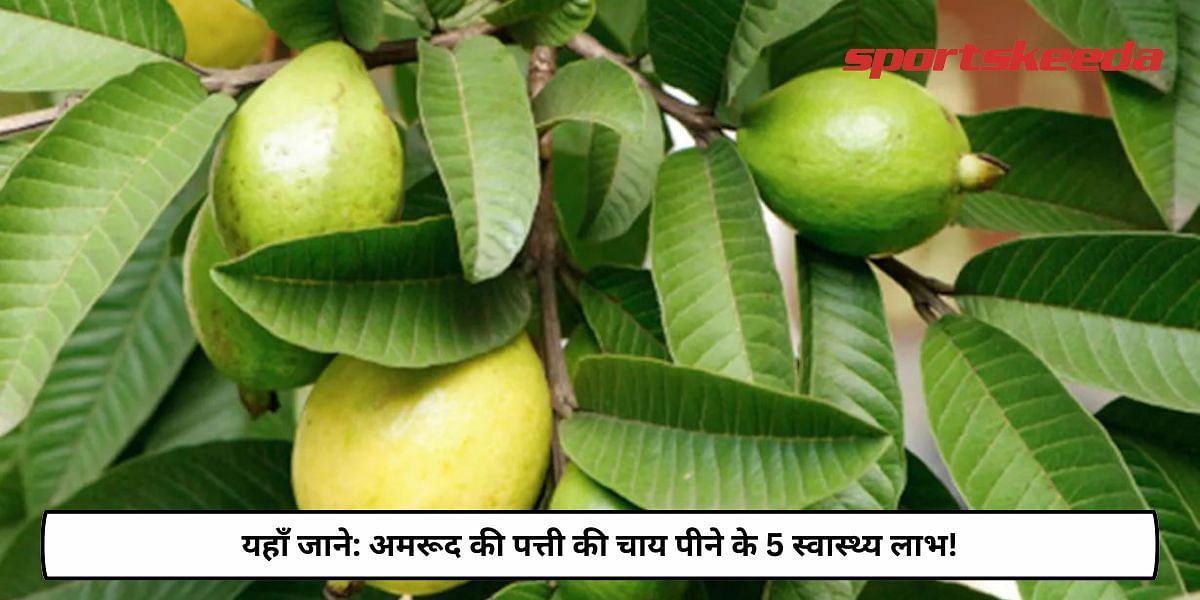 5 Health Benefits Of drinking Guava Leaf Tea!