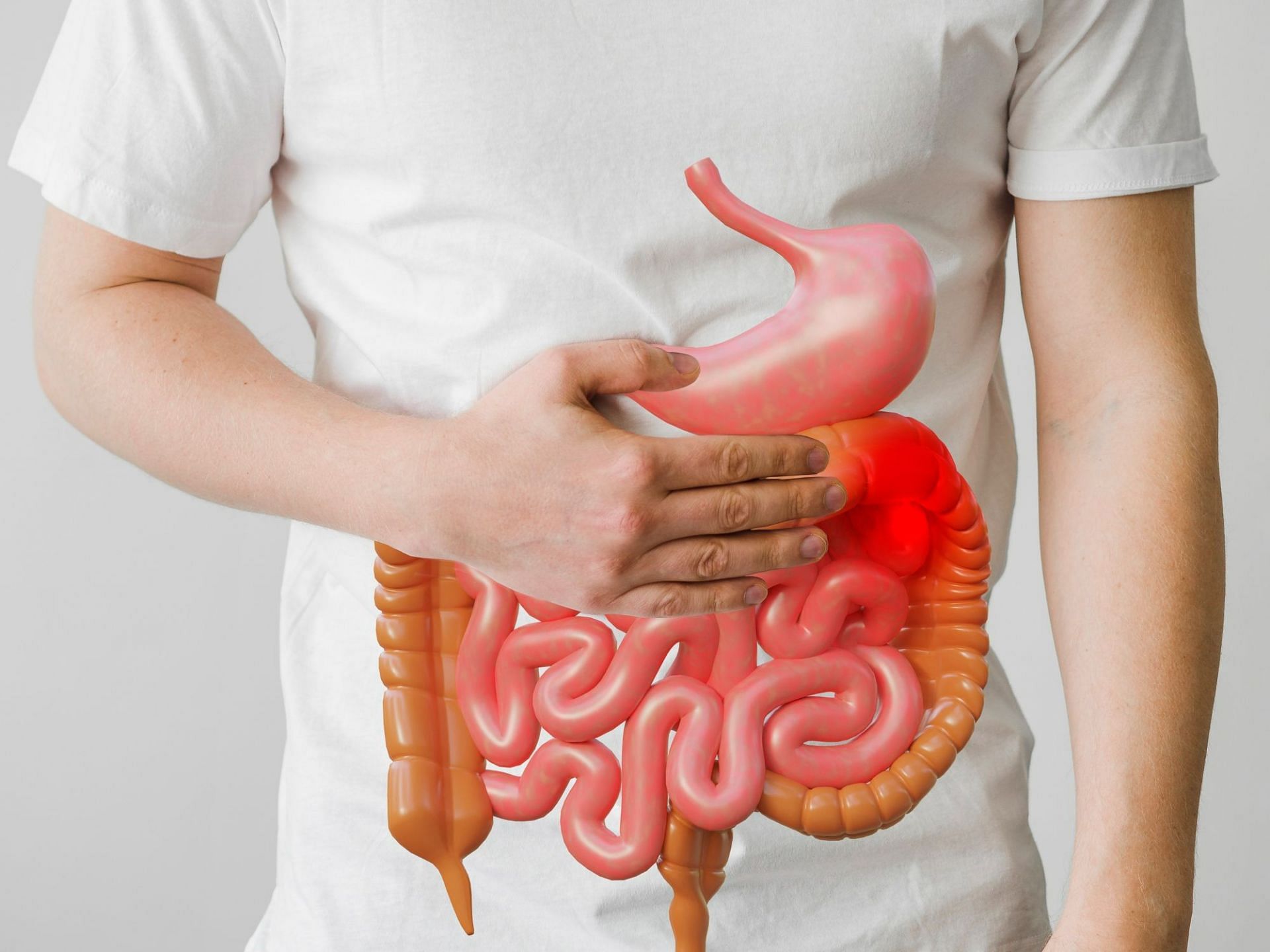 Infection can be a cause of gut inflammation (image by freepik)