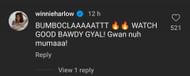 Winnie Harlow IG comment IG story of Shaq's daughter