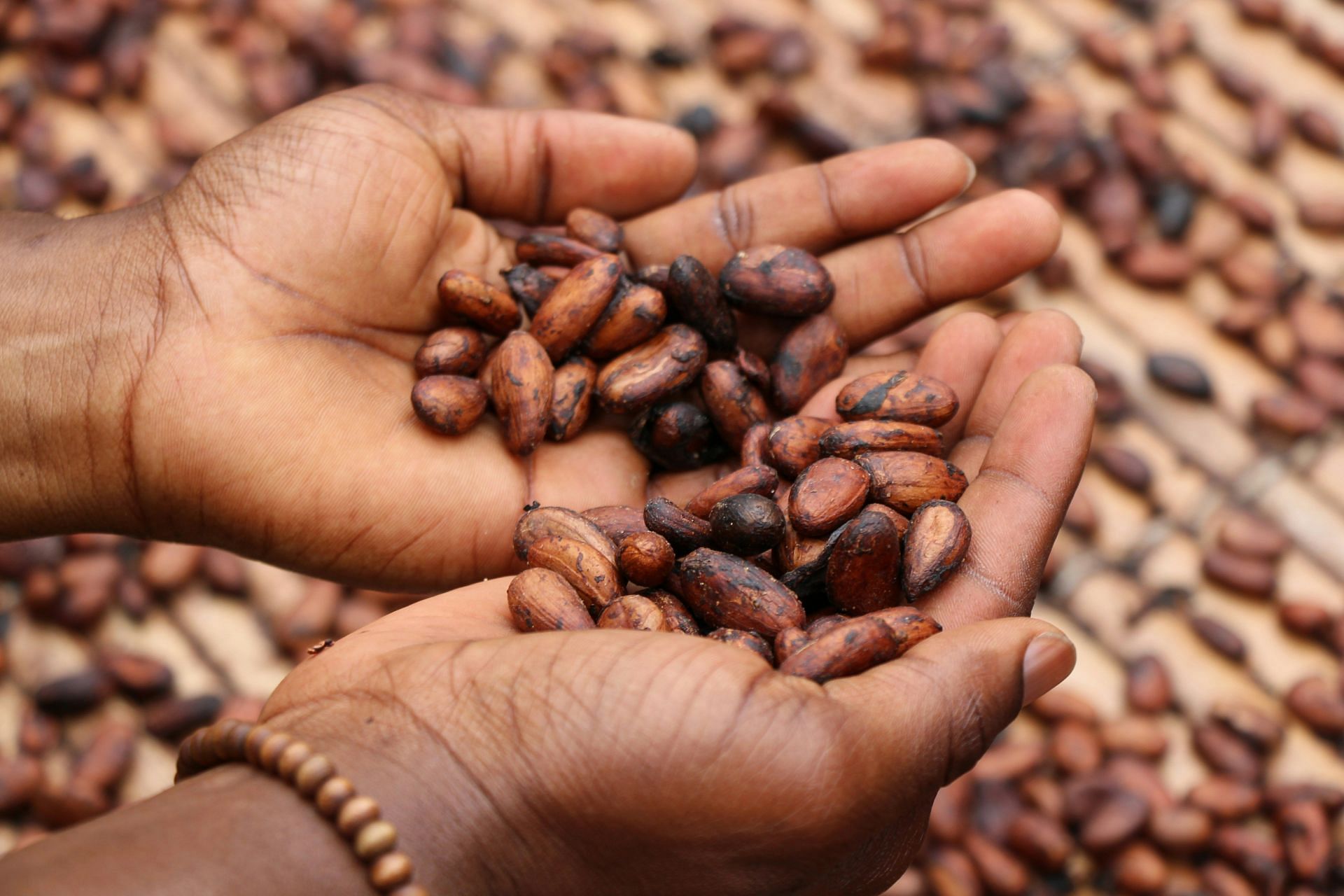 Dark chocolate vs milk chocolate: Dark chocolate has high amounts of cocoa beans. (Image by Etty Fidele/Unsplash)