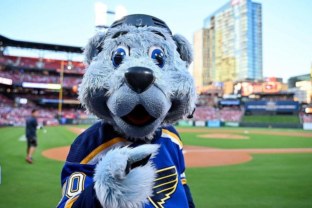 St. Louis Blues mascot Louie The Blue Bear