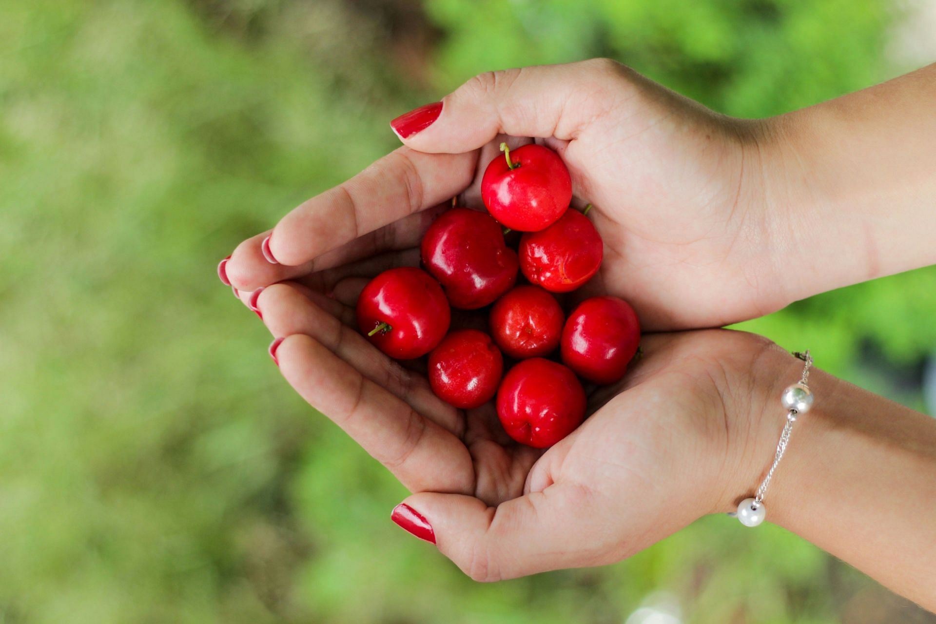 Acerola cherry benefits: Better Digestion (Image by Manu Camargo/Unsplash)