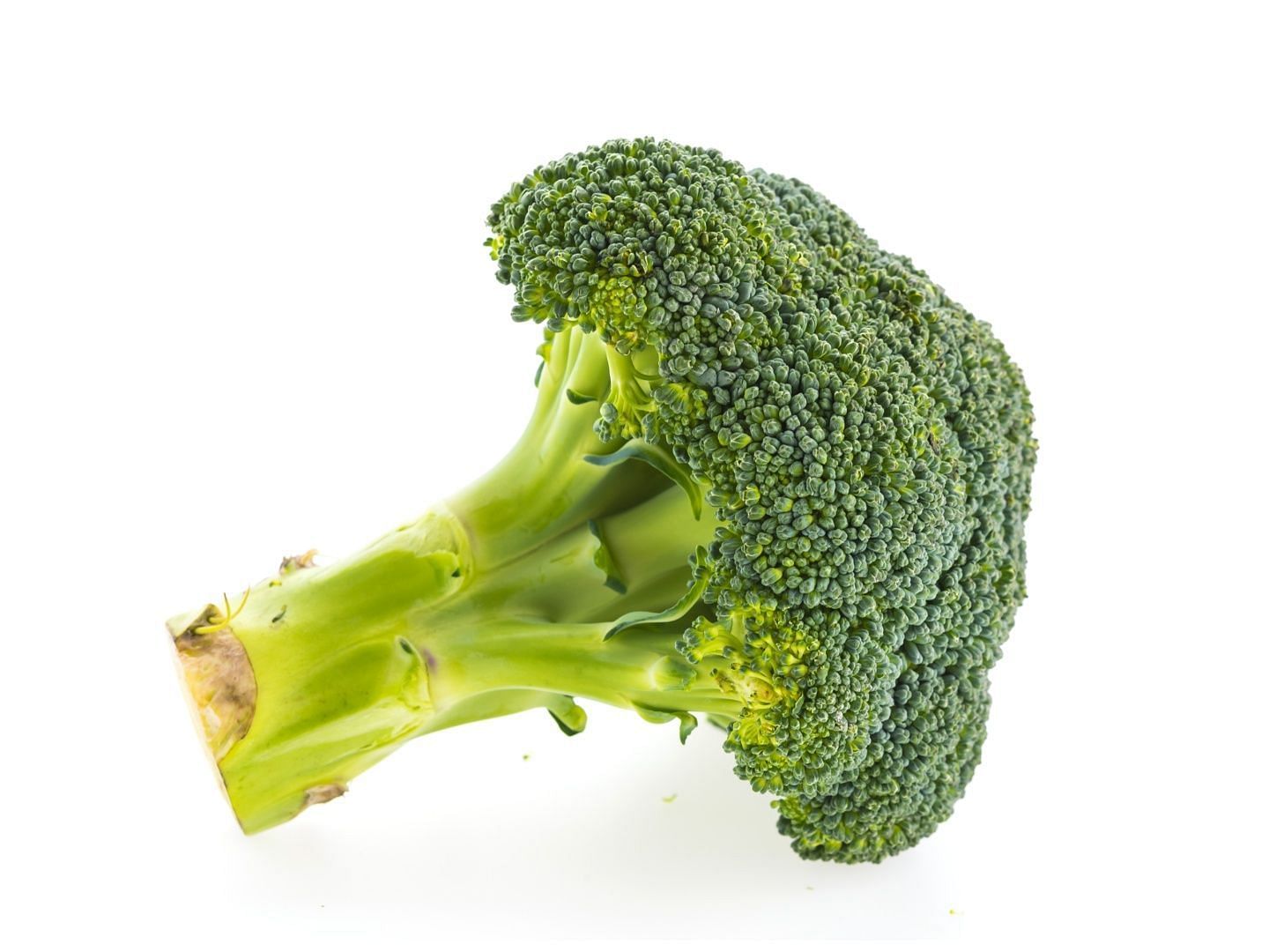 Broccoli is known for being rich in vitamins; however, it also has antioxidants. (Image via Vecteezy)