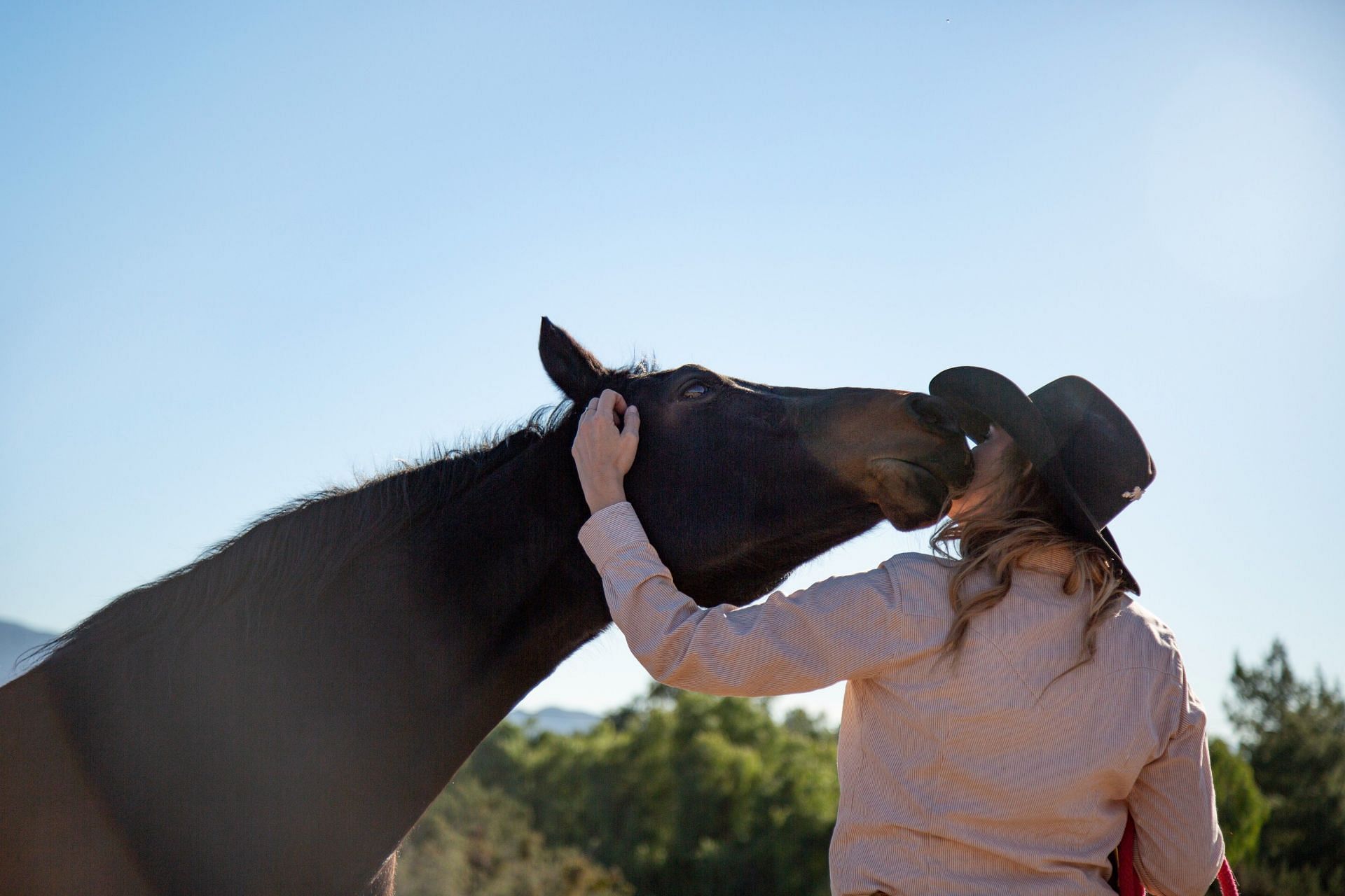 Equine therapy is a way to feel connected with another emotional being. (Image via Freepik/ Freepik)