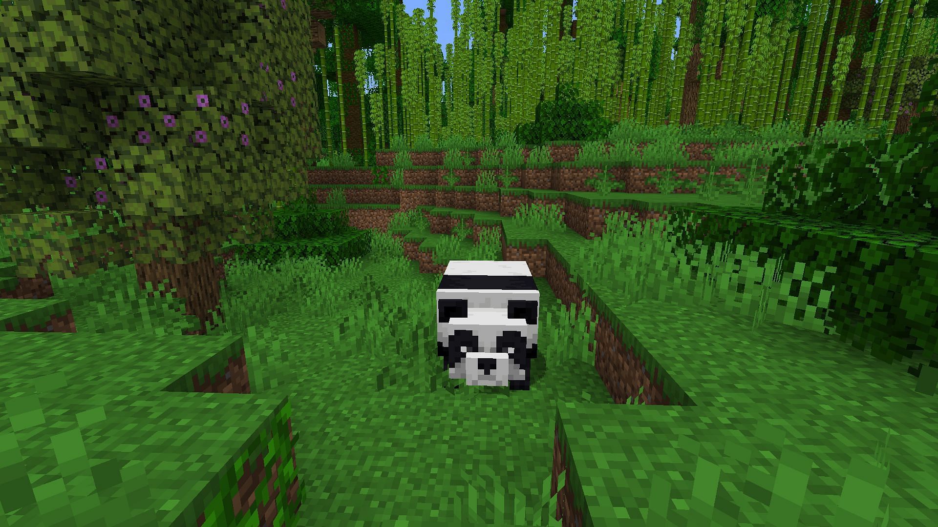 A panda, added into China Edition as part of a community mob vote (Image via Mojang)