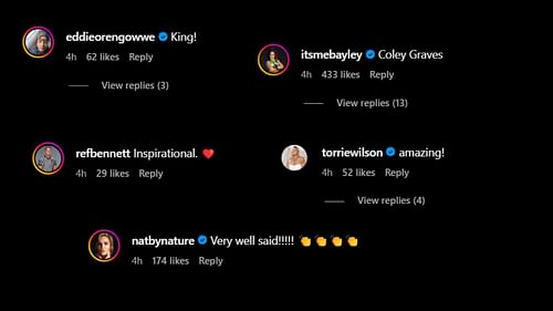 A screengrab of a few notable reactions to Carmella's post (via Carmella's Instagram)