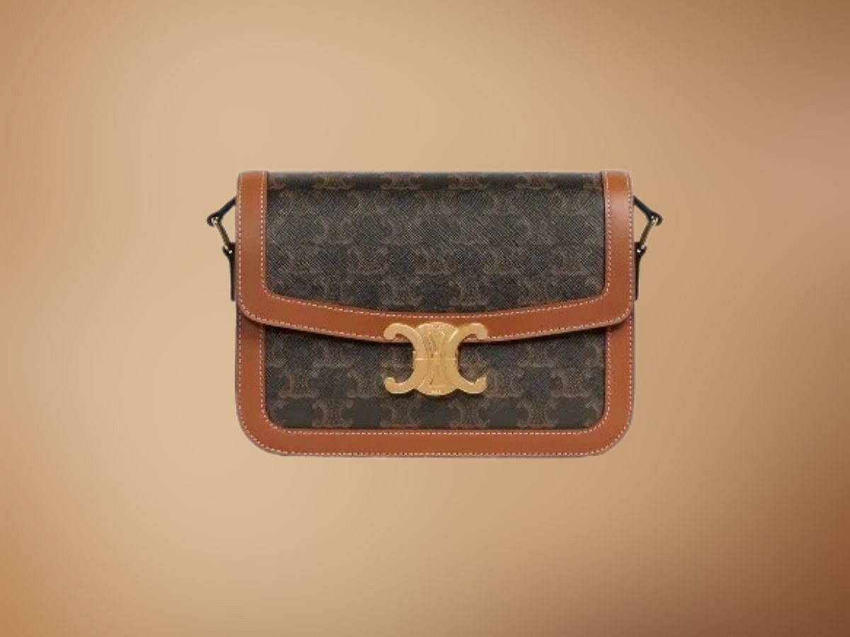 The Triomphe Bag - $4,150 (Image via Revolve)