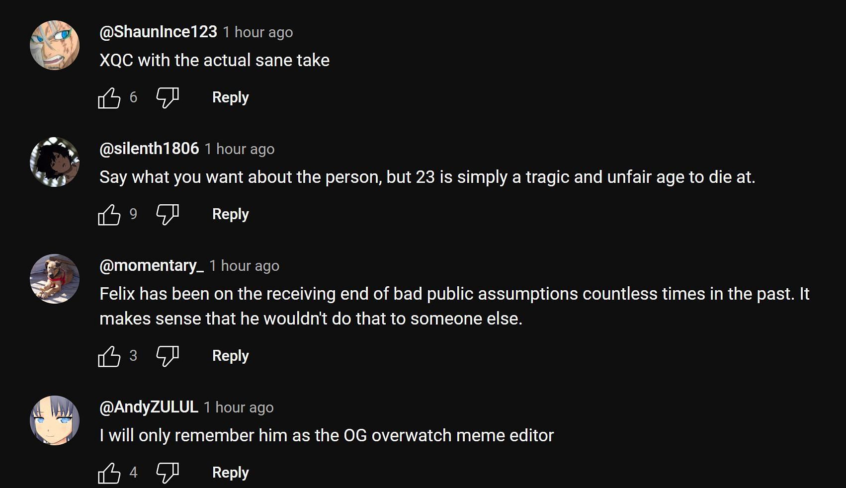 Some more comments (Image via YouTube comments section)