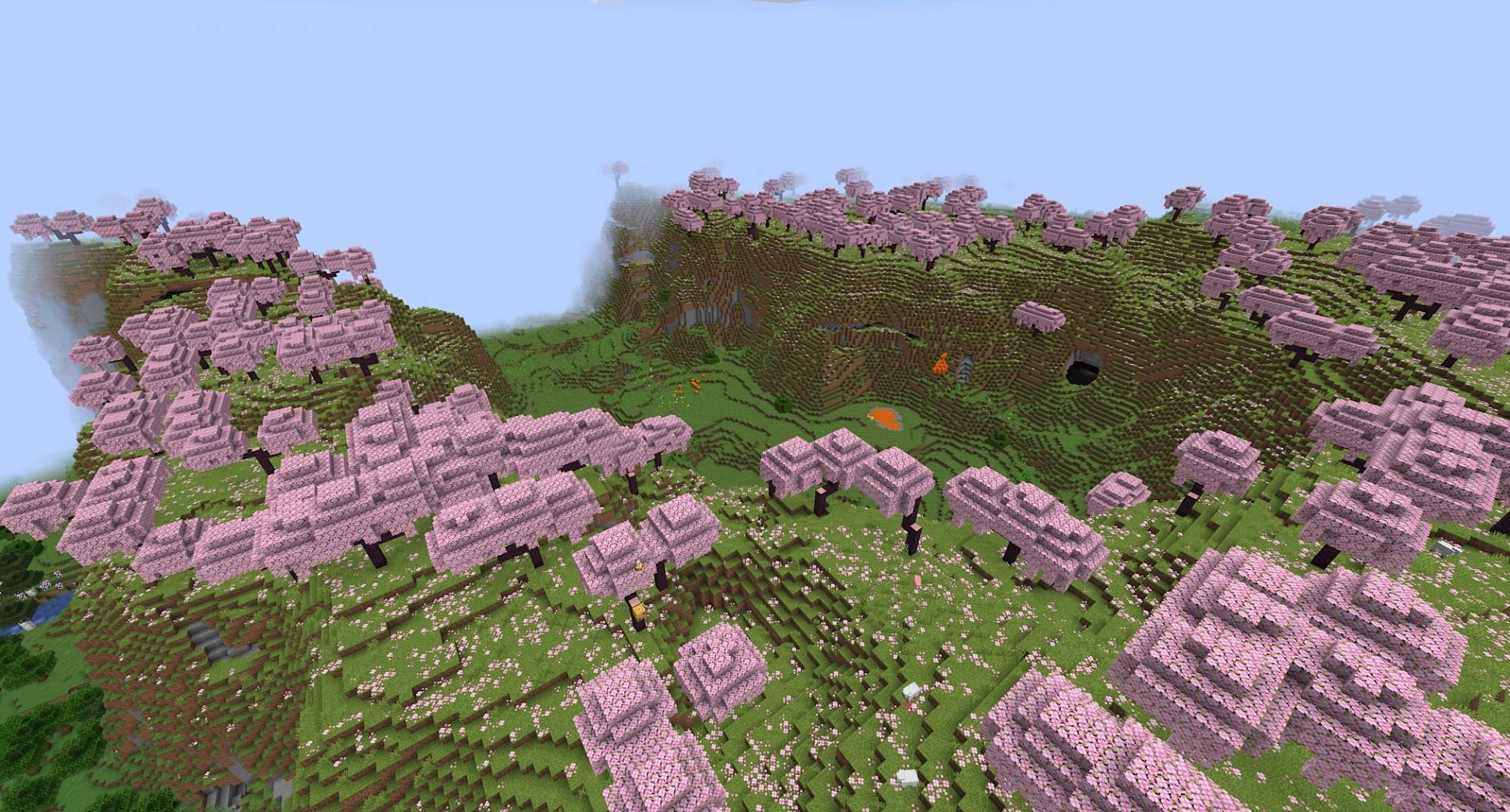 A portion of the seed&#039;s cherry grove valley (Image via Mojang)