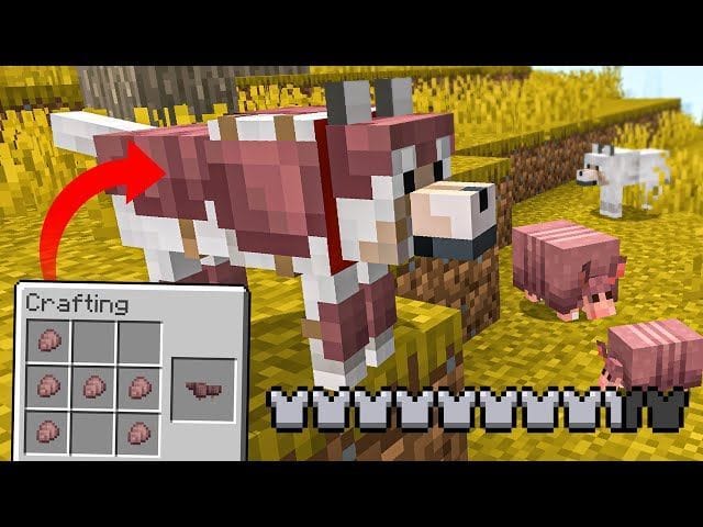 Minecraft Armor Graph Wolf armor vs horse armor: Which is stronger in Minecraft?