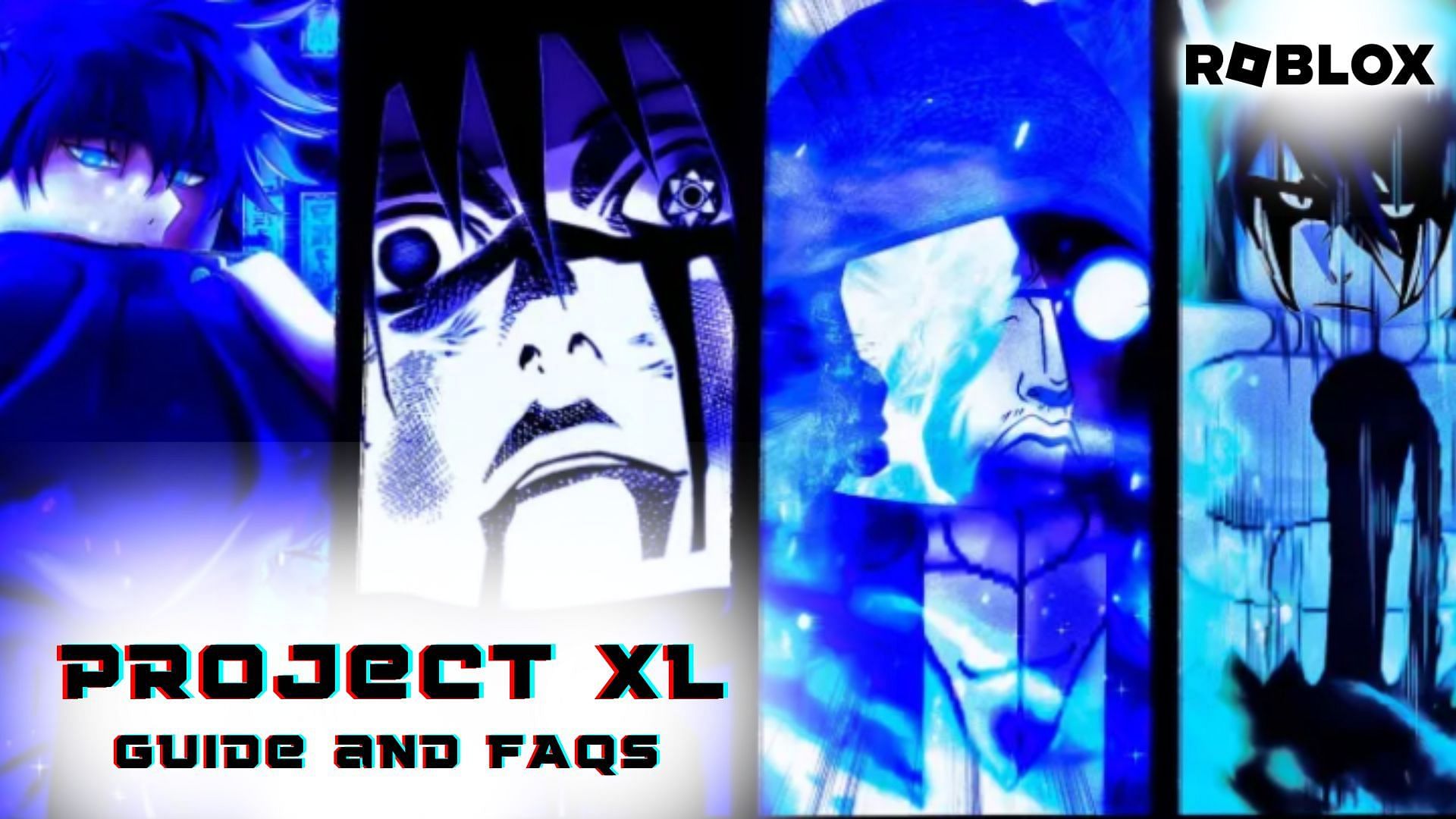 Project XL guide