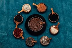 8 most effective seeds for weight loss