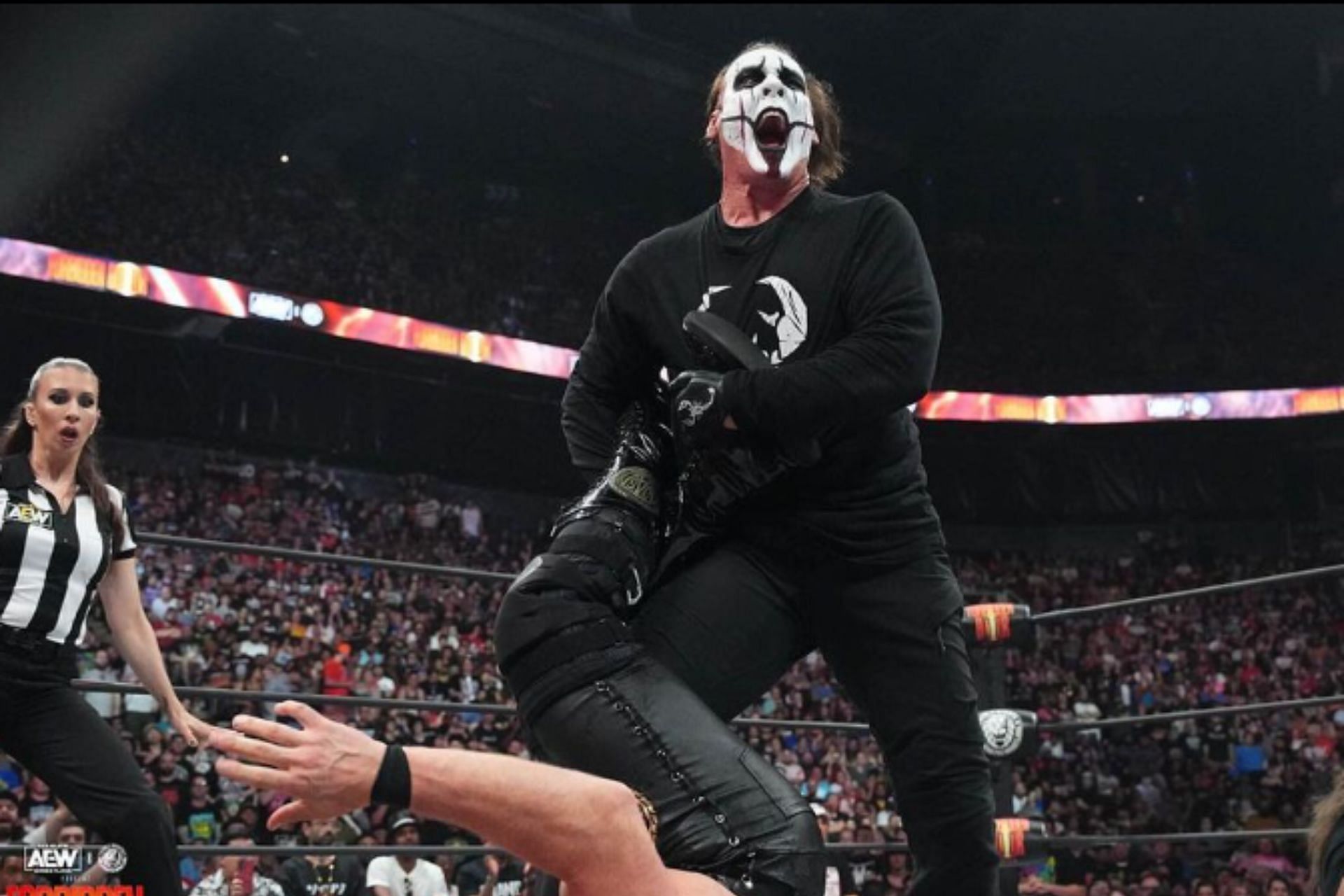 A wrestling veteran has some interesting thoughs about Sting