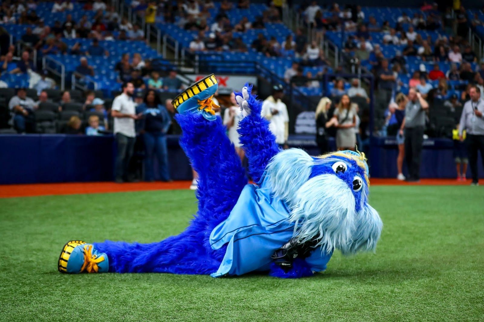 Tampa Bay Rays Mascot - The Oriole Bird's History, Funny Incidents, and ...