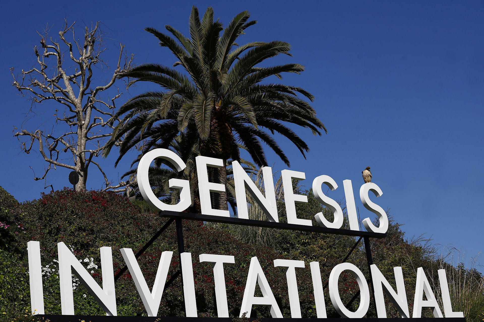 The Genesis Invitational - Previews