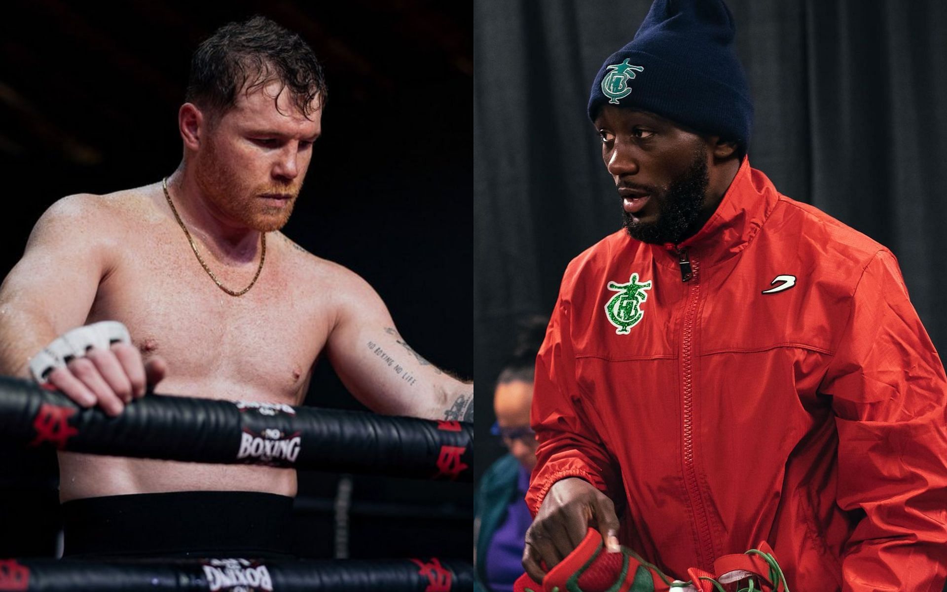 Canelo Alvarez discusses his potential fight with Terence Crawford.