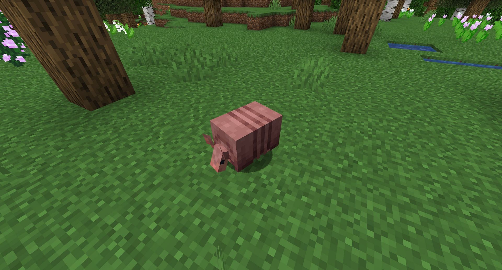 An armadillo in a forest (Image via Mojang)