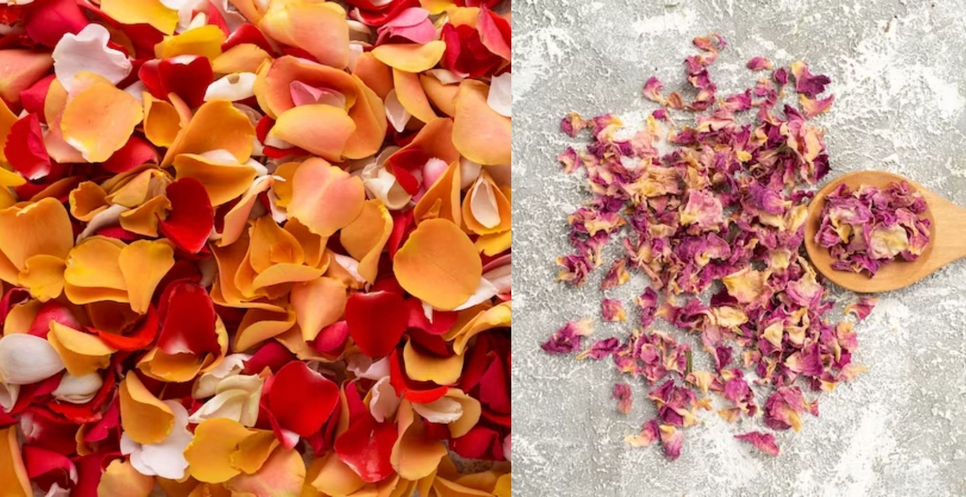 How to Use Rose Petals for Their Skin Benefits