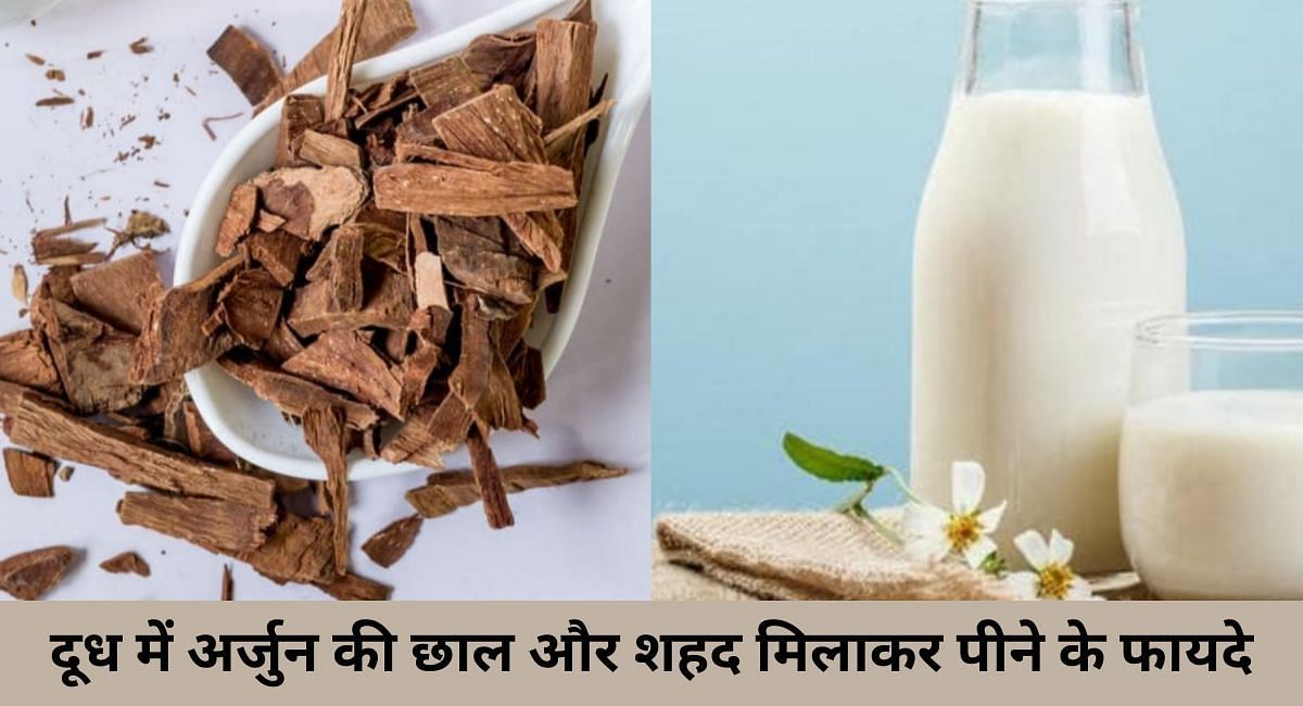 दूध में अर्जुन की छाल और शहद मिलाकर पीने के फायदे(फोटो-Sportskeeda hindi)